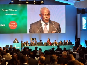 ຫວຽດນາມເຂົ້າຮ່ວມກອງປະຊຸມສະພາບໍລິຫານກອງທຶນພັດທະນາກະສິກຳສາກົນ